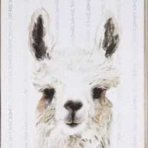 Meet your Posher, Brooklynn